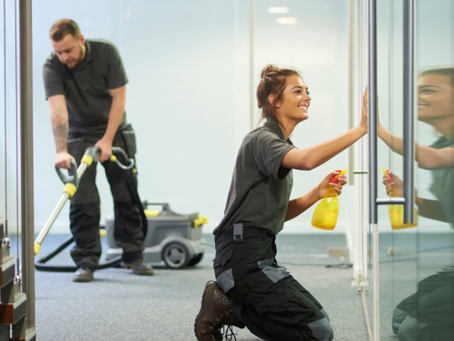 Professional Furniture Cleaning