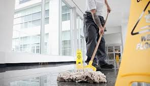 Professional Cleaning Company